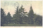 Postcard of the Lawn at the Milwaukee Sanitarium