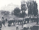 Circus parade, 1929 by Advocate Aurora Health